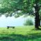 休日の公園